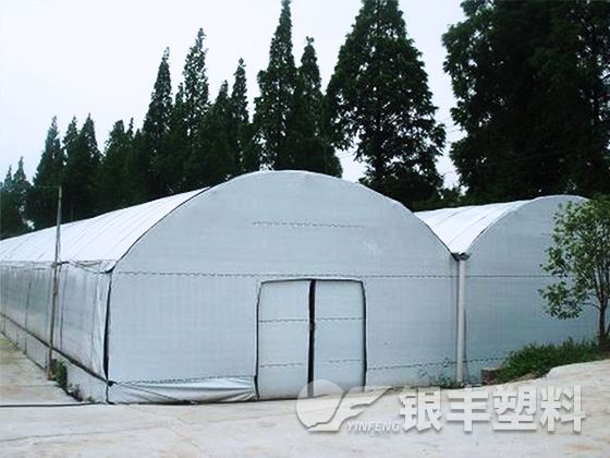 河南南陽食用菌大棚膜案例