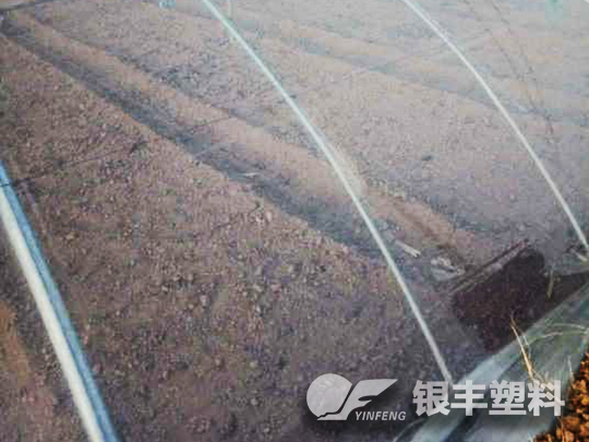 濮陽市臺前縣po大棚膜案例