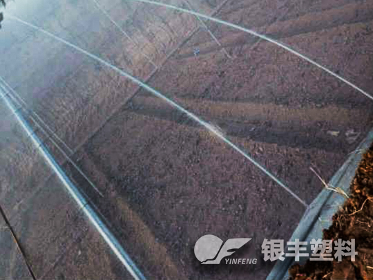 濮陽市臺前縣po大棚膜案例